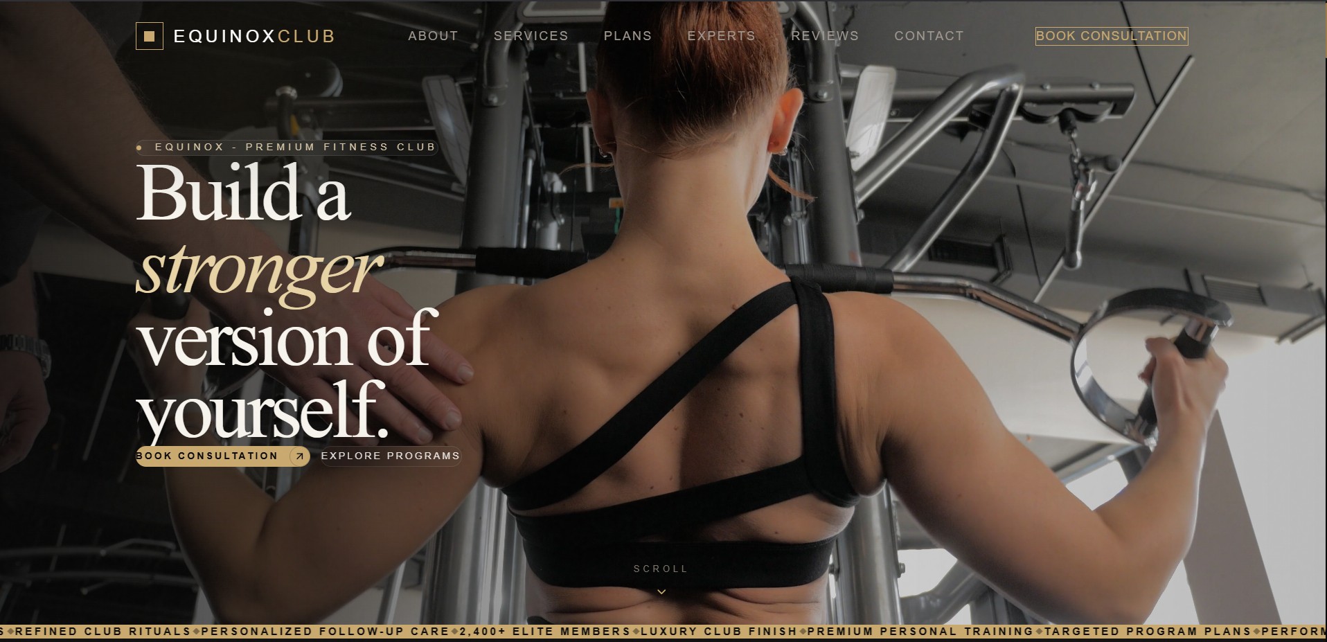 Elite Fitness Infrastructure